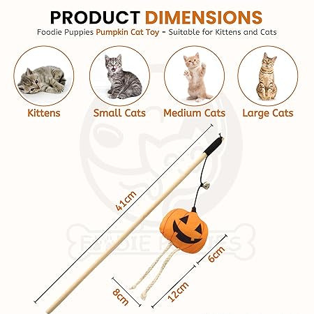 cat toys