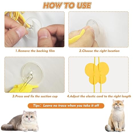 Hanging Cat Toy with Elastic Cord & Feather Teaser
