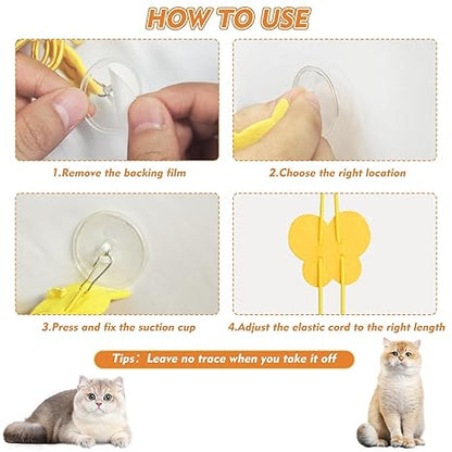Hanging Cat Toy with Elastic Cord & Feather Teaser