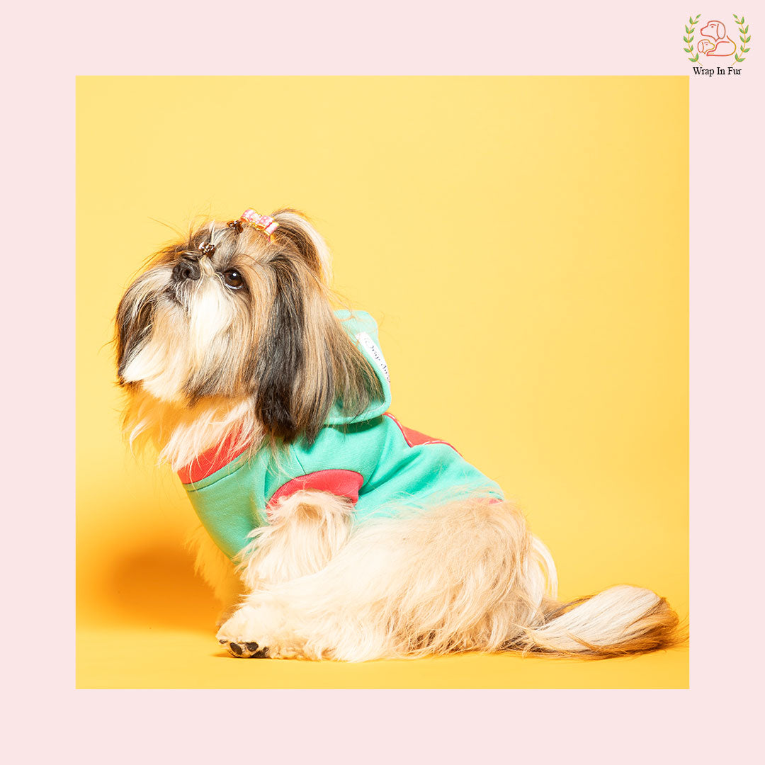 Heart Print Dog Sweatshirt – Cozy & Cute Winter Hoodie for Pets