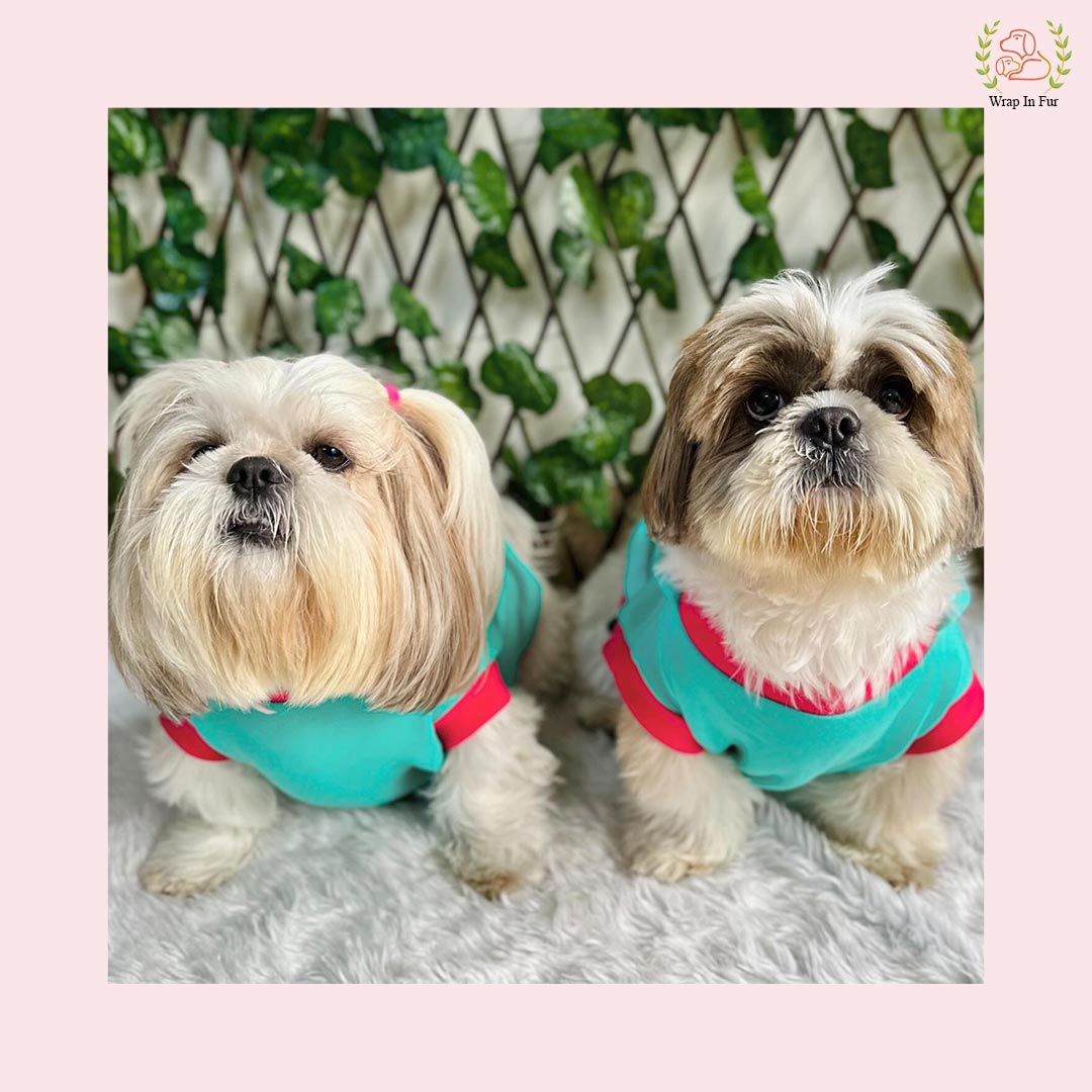 Heart Print Dog Sweatshirt – Cozy & Cute Winter Hoodie for Pets 