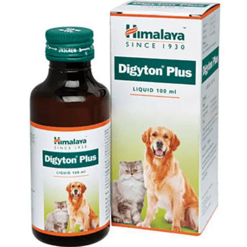Himalaya Digyton Plus Digestive Syrup for Dogs & Cats