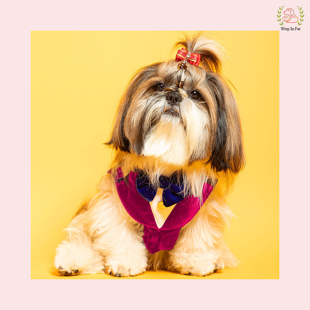 Hot Pink Velvet Dog Tuxedo Vest - Formal Wedding Suit