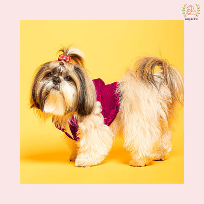 Hot Pink Velvet Dog Tuxedo Vest - Formal Wedding Suit