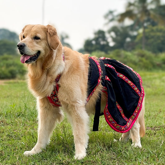 Black Mirror Work Lehenga Choli For Dogs