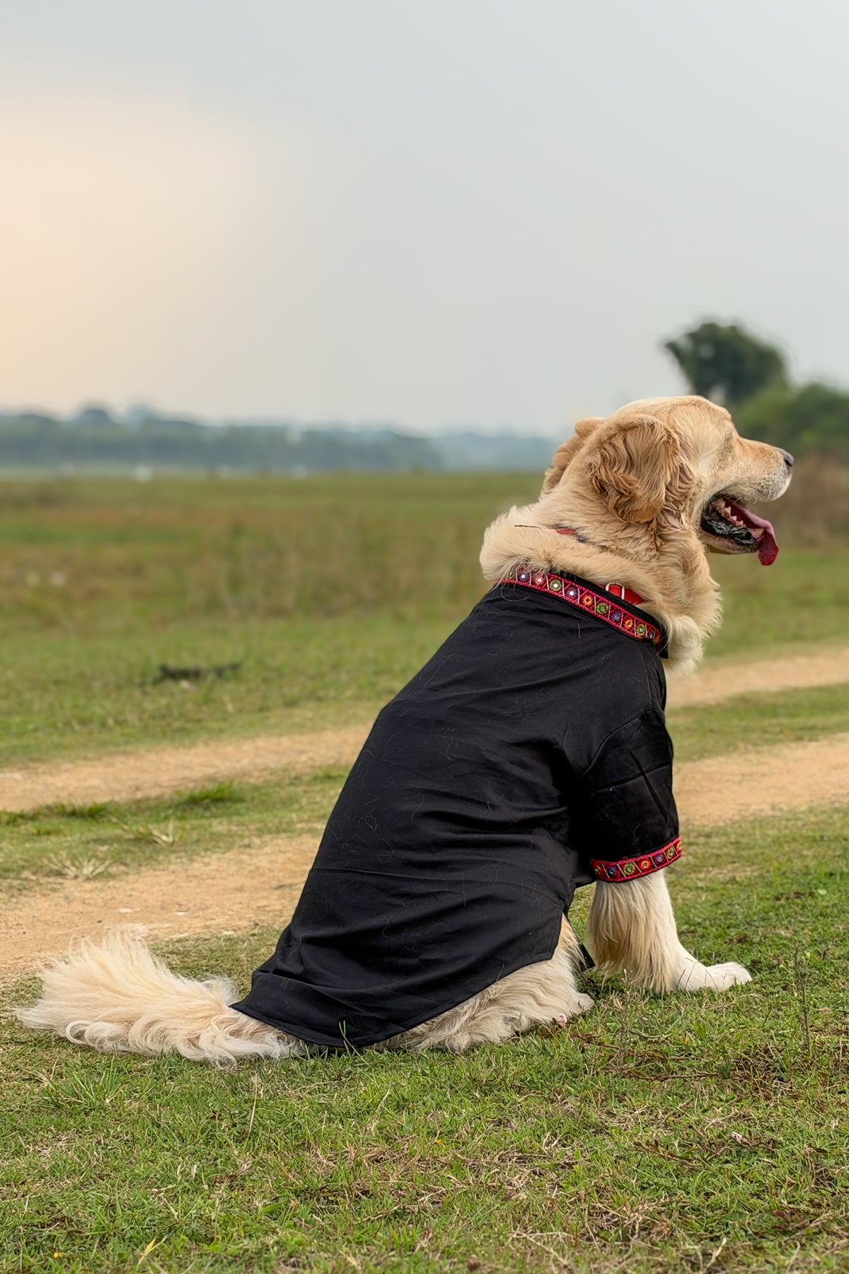 Black Mirror Work Dog Kurta