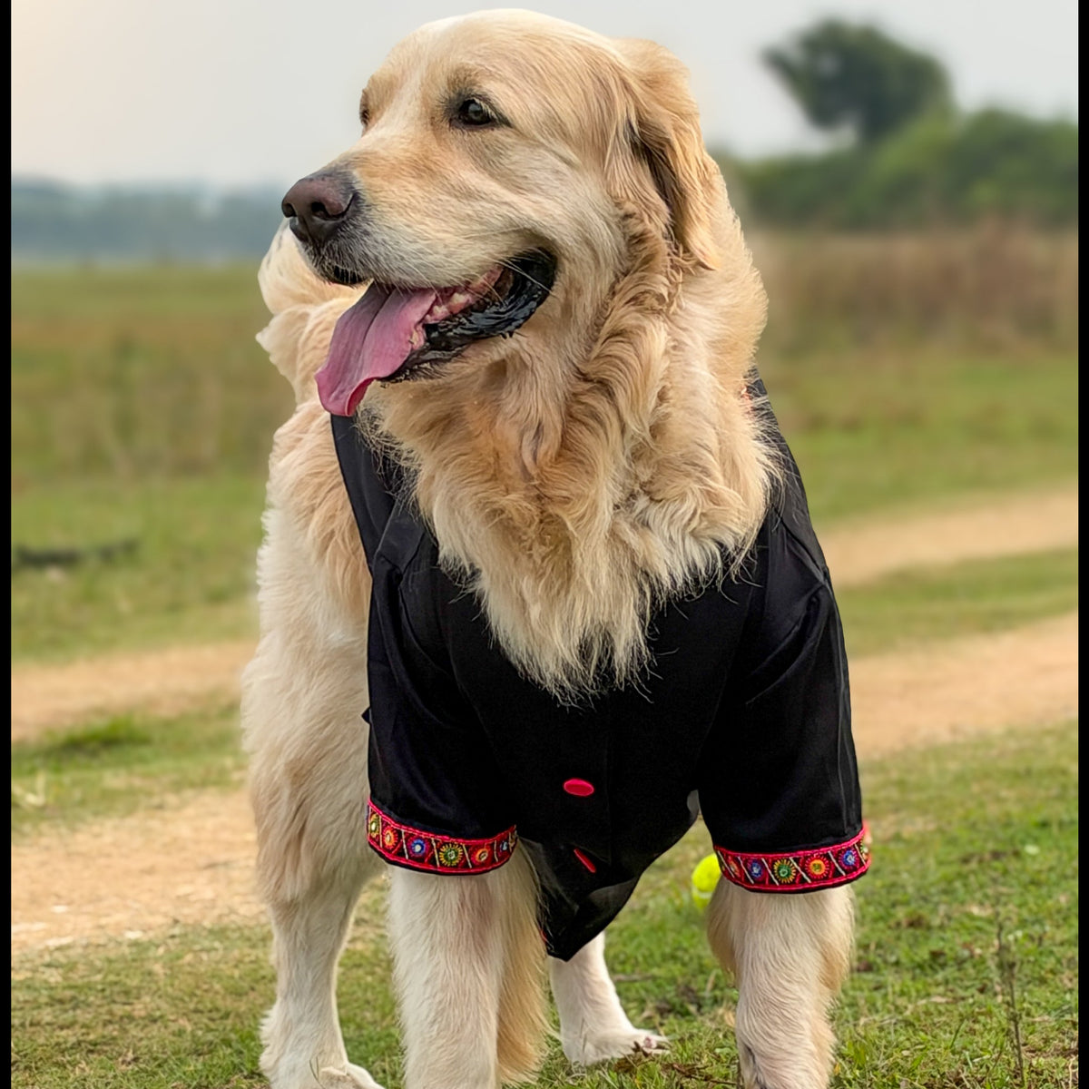 Black Mirror Work Dog Kurta