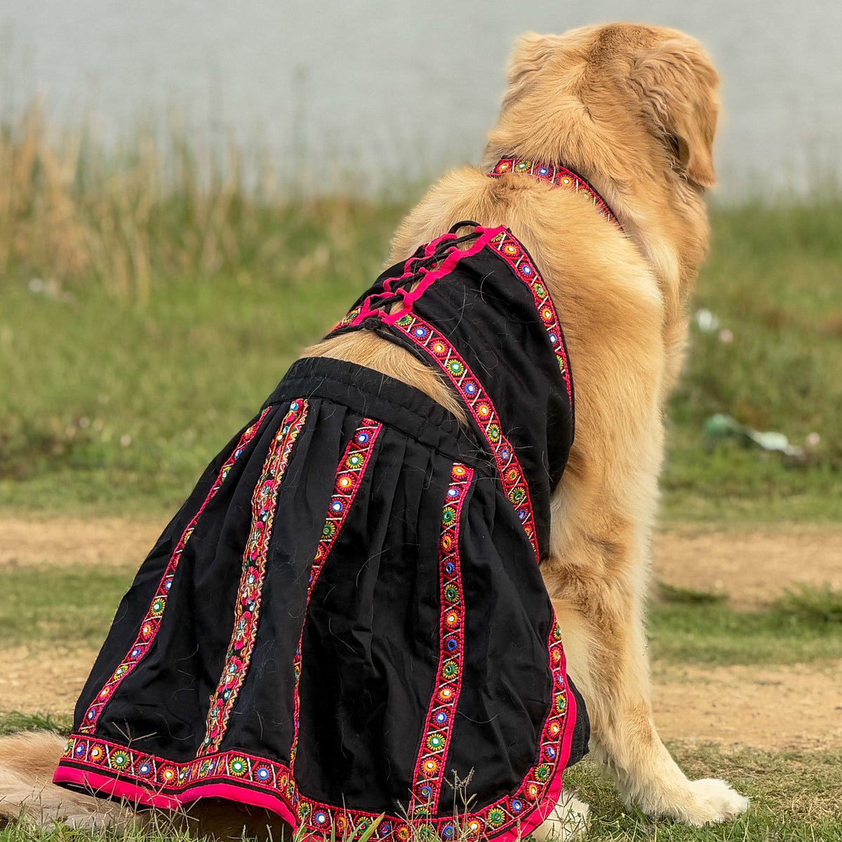 Black Mirror Work Lehenga Choli For Dogs