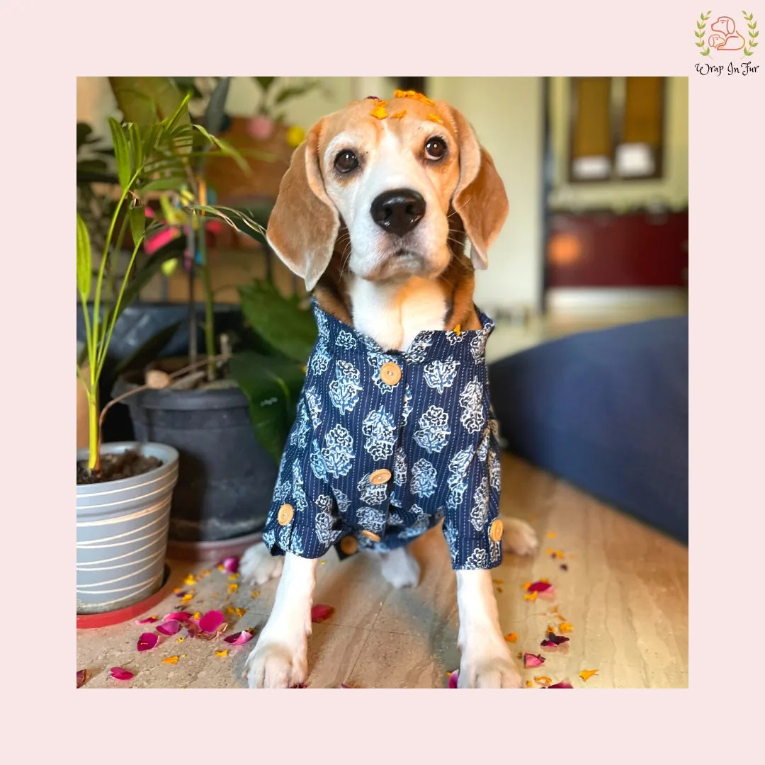 Indigo Blue Block Print Dog Kurta - Traditional Indian Pet Ethnic Wear
