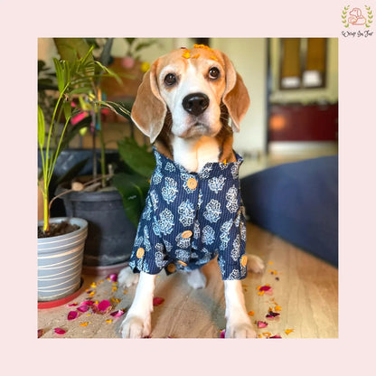Indigo Blue Block Print Dog Kurta - Traditional Indian Pet Ethnic Wear
