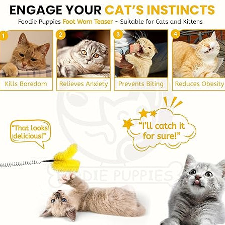 Foot-Mounted Cat Teaser Toy 