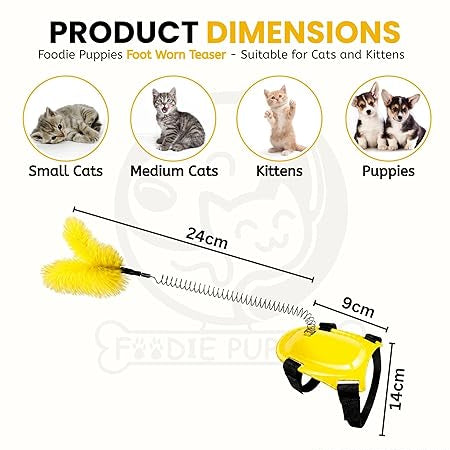 cat toys