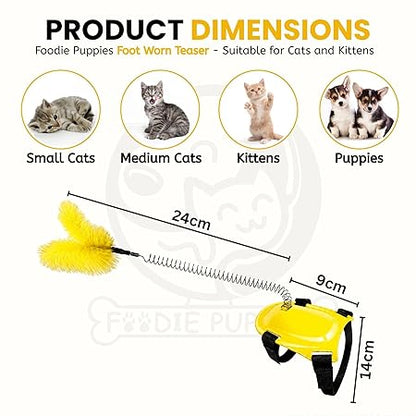 cat toys