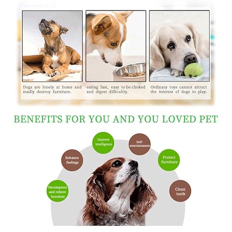 Interactive Dog Food Puzzle Toy Slow Feeder