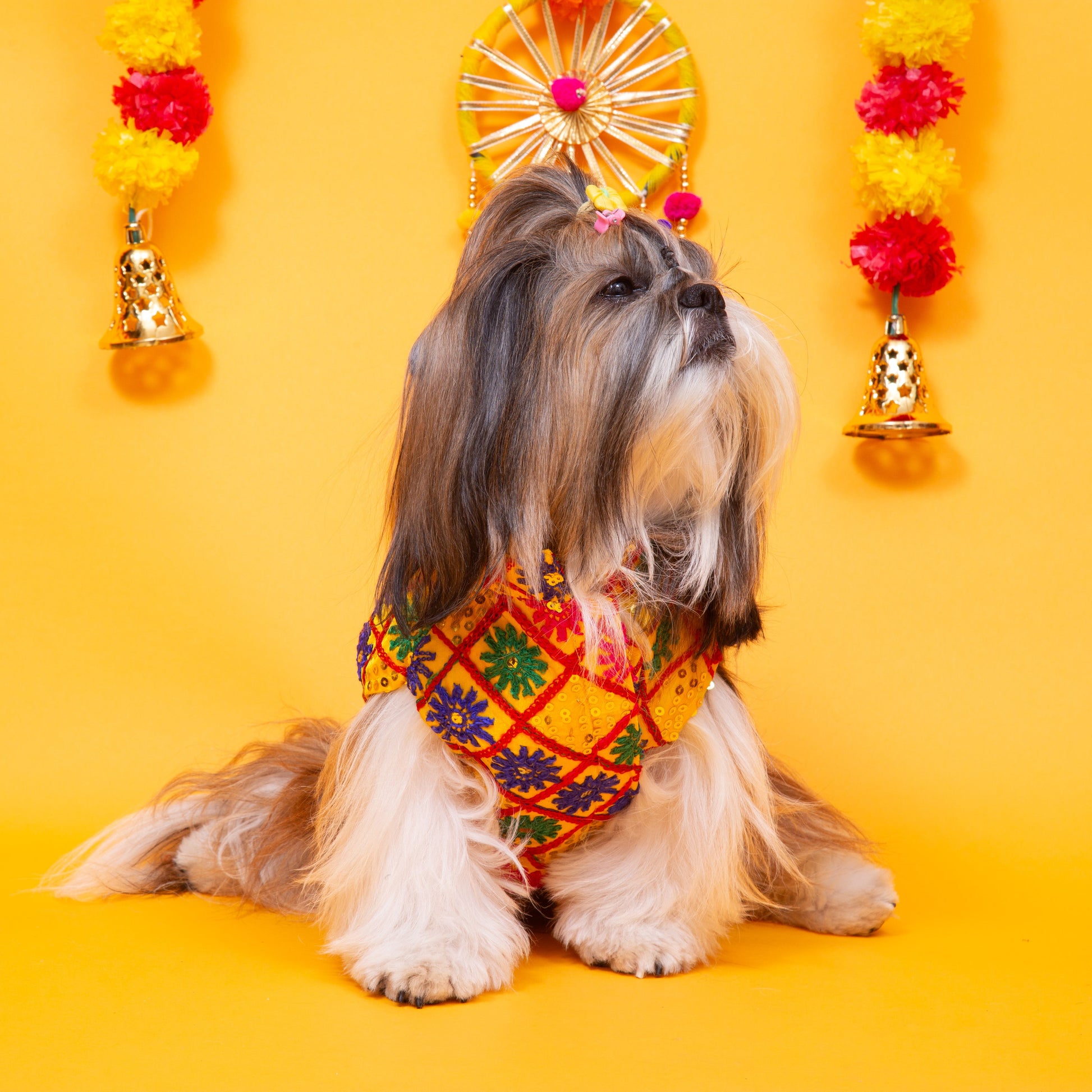 Yellow Jhilmil Dog Sherwani