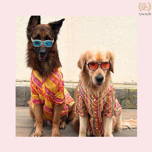 Kesari Gota Dog Kurta - Premium Yellow Indian Dog Ethnic Wear