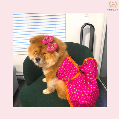 Kesari Lehenga Choli Dog Wedding Dress – Premium Dog Bridal Outfit