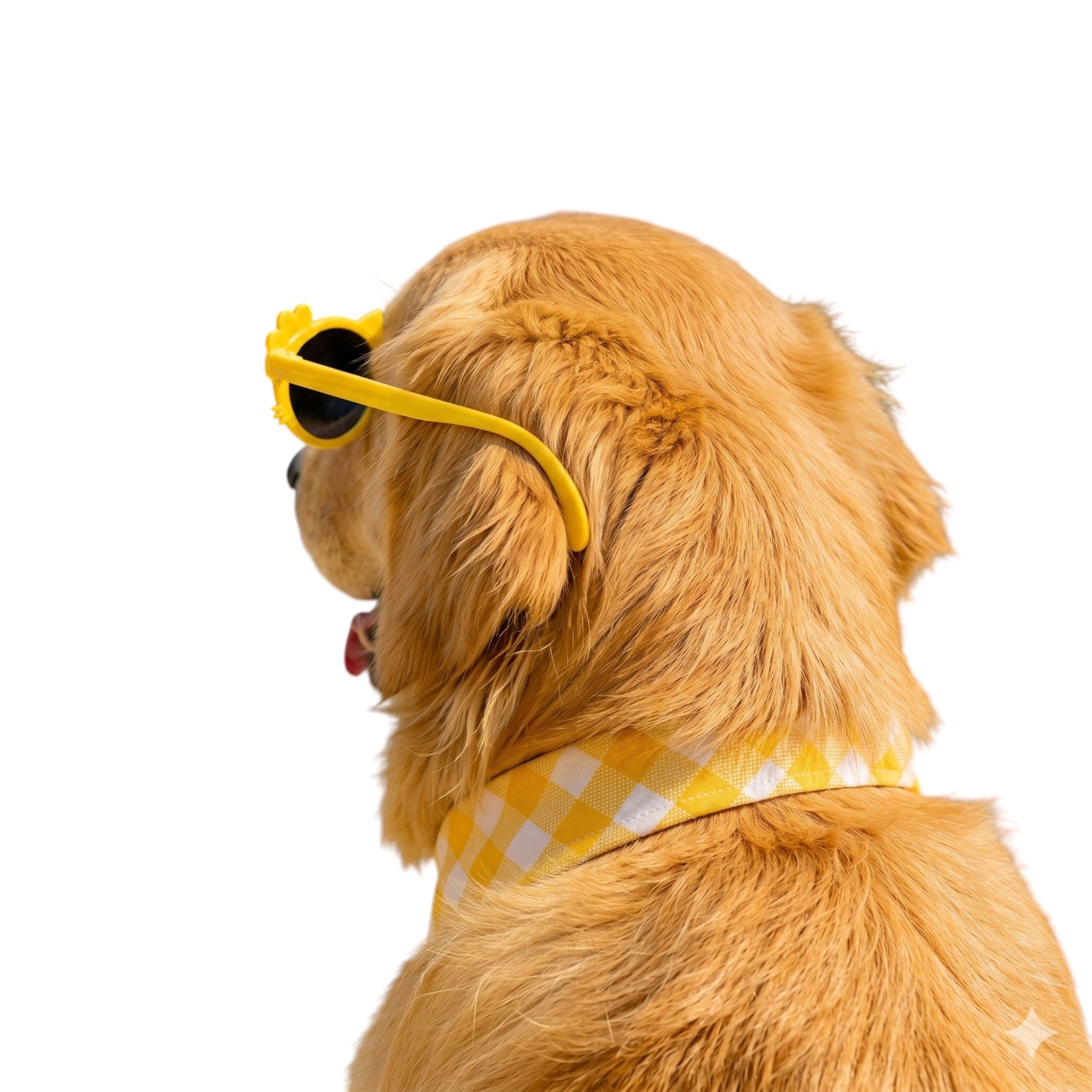 Kitty Bloom Dog Sunglasses