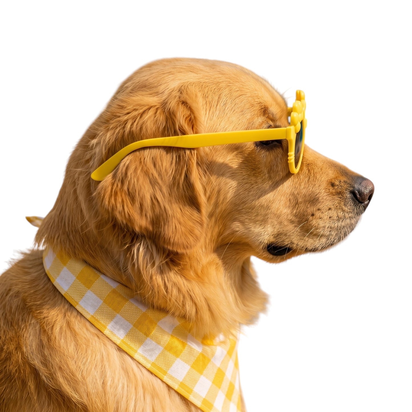 Kitty Bloom Dog Sunglasses