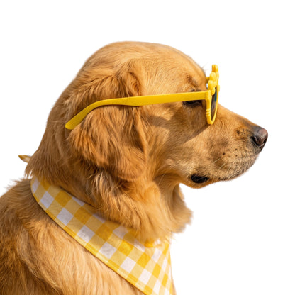 Kitty Bloom Dog Sunglasses