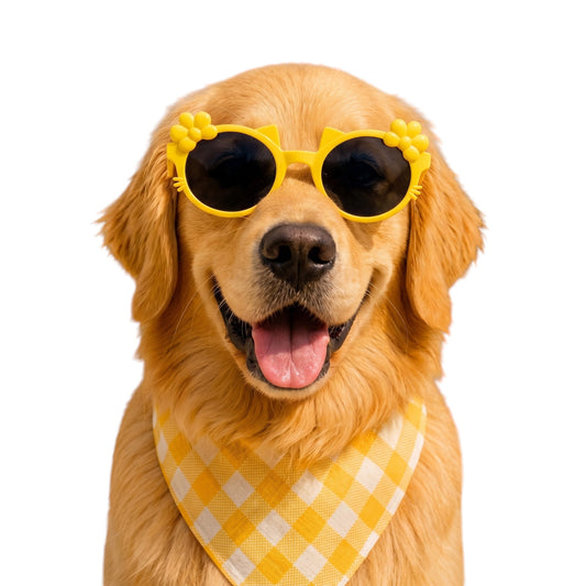 Kitty Bloom Dog Sunglasses