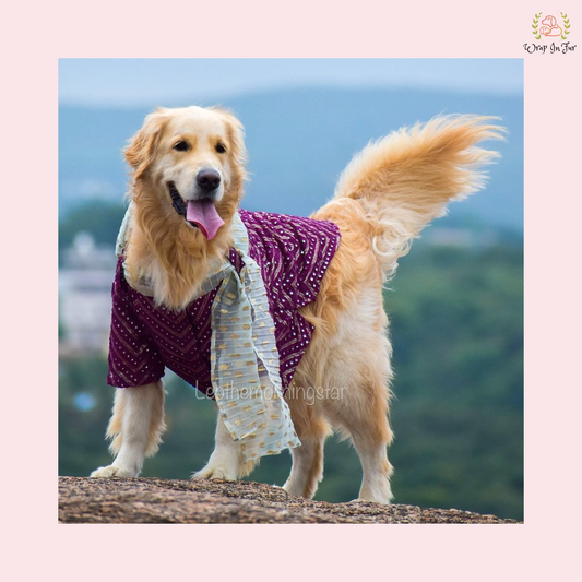 Purple Dog Kurta With Dupatta