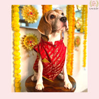 Laal Pari Crimson Red Dog Kurta - Royal Indian Dog Ethnic Wear
