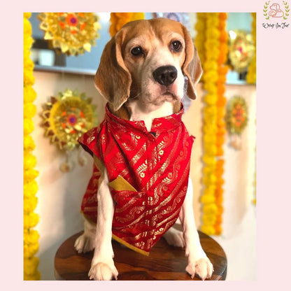 Laal Pari Crimson Red Dog Kurta - Royal Indian Dog Ethnic Wear