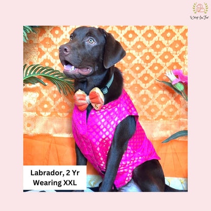 Labrador Pink festive dog jacket