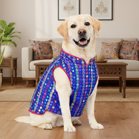 Blue Multicolor Jacket Sherwani for Dogs
