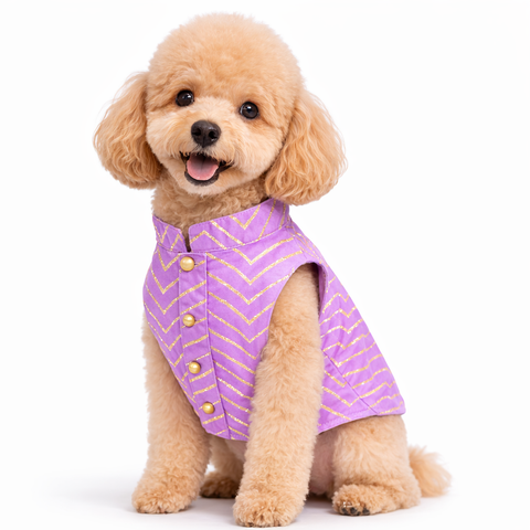 Lavender Golden Dog Sherwani