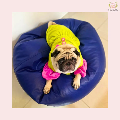 Lemon Dog Princess Frock – Wedding Outfit for Dogs