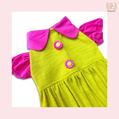 Lemon Dog Princess Frock – Wedding Outfit for Dogs