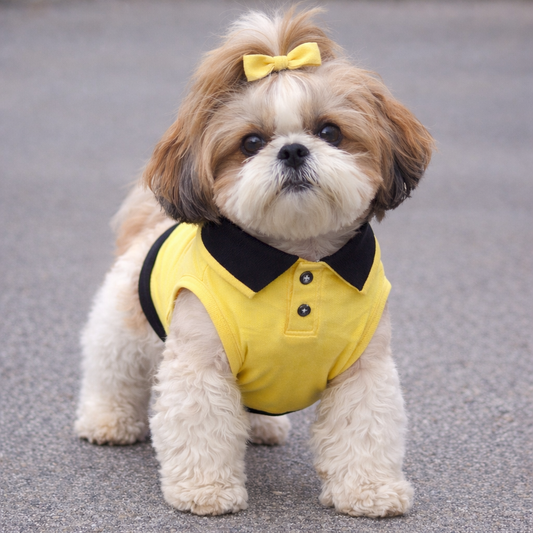 Lemon Polo T shirt for dog