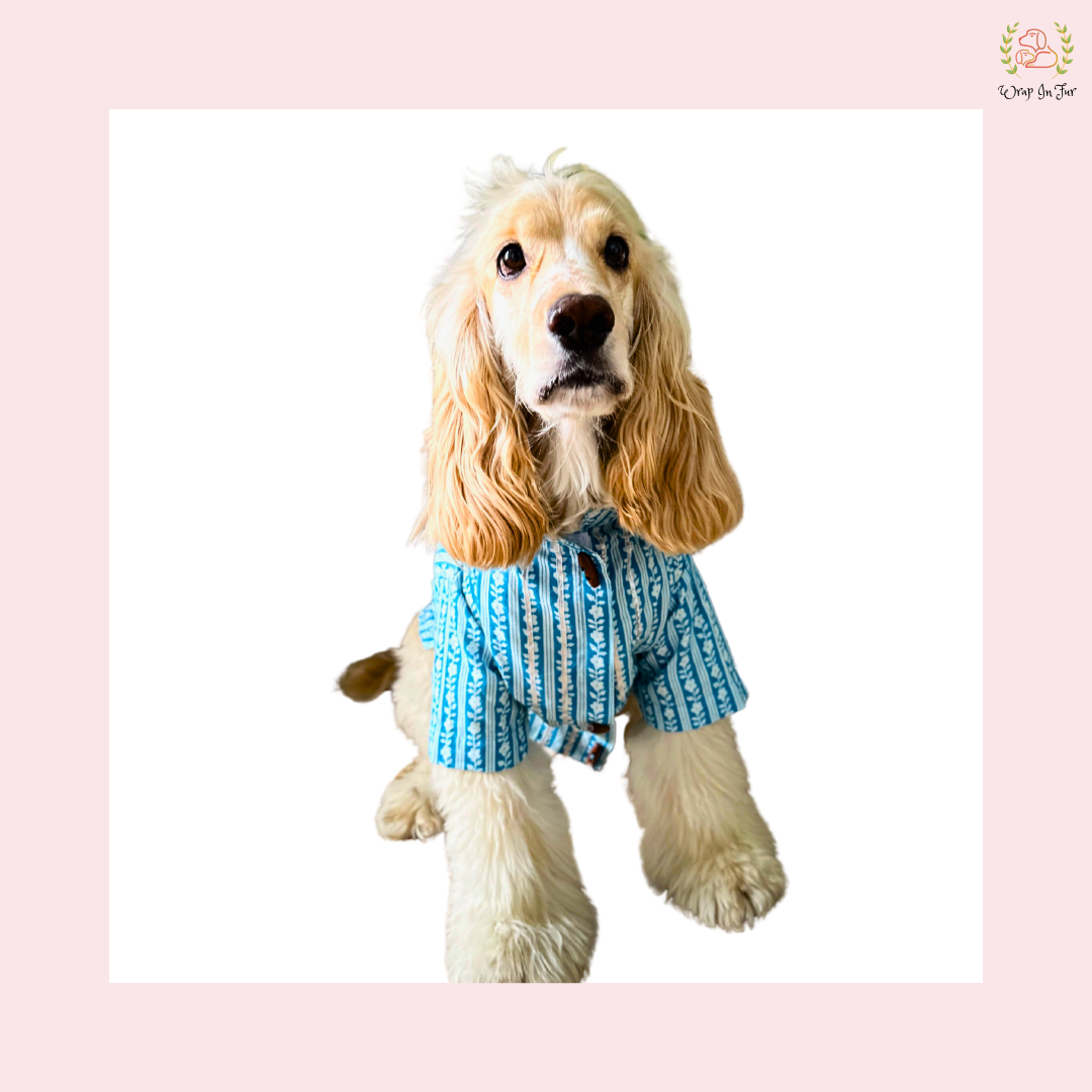 Light Blue Floral Dog Kurta - Traditional Indian Dog Ethnic Wear