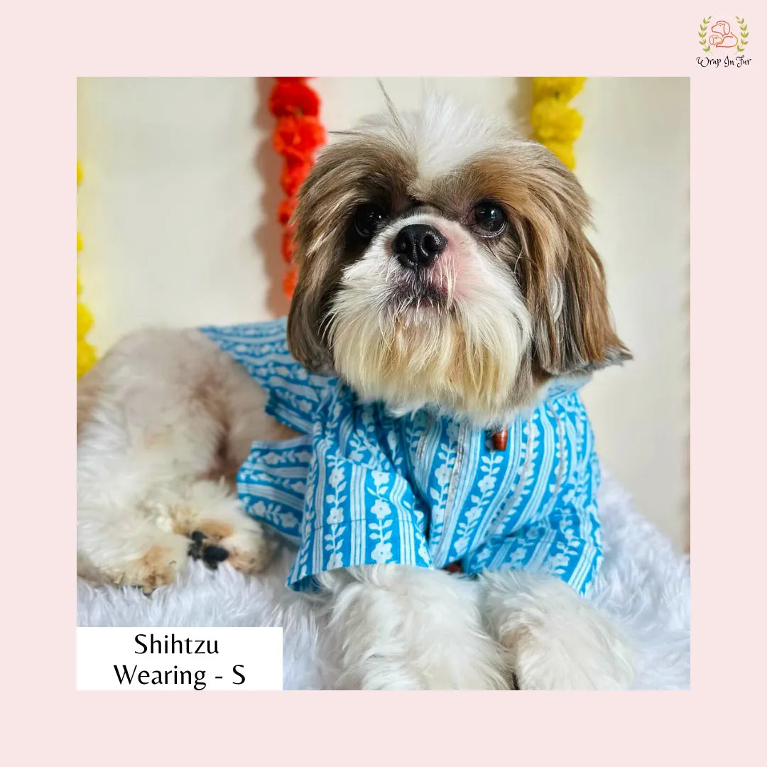 Light Blue Floral Dog Kurta - Traditional Indian Dog Ethnic Wear