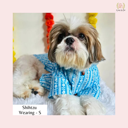 Light Blue Floral Dog Kurta - Traditional Indian Dog Ethnic Wear