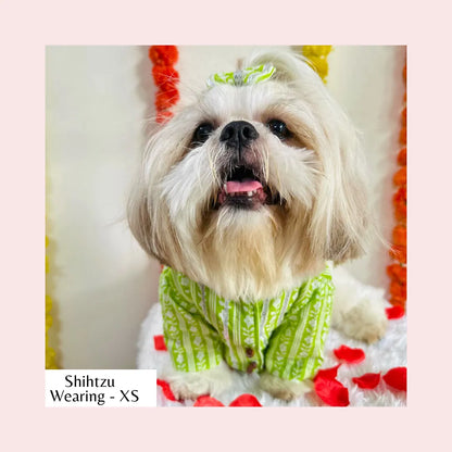Lime Green Floral Dog Kurta - Traditional Indian Dog Ethnic Wear