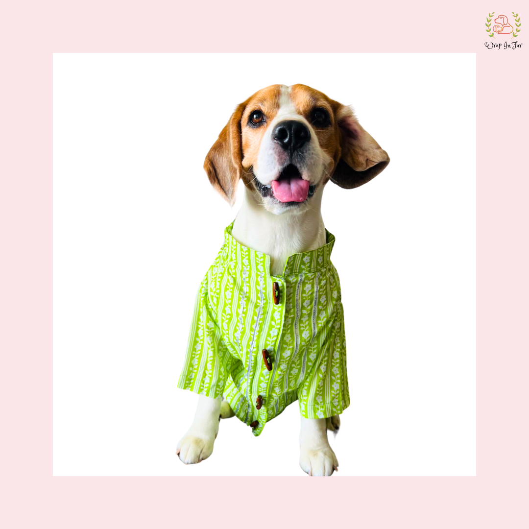 Lime Green Floral Dog Kurta - Traditional Indian Dog Ethnic Wear