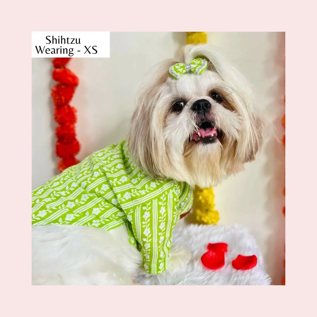 Lime Green Floral Dog Kurta - Traditional Indian Dog Ethnic Wear