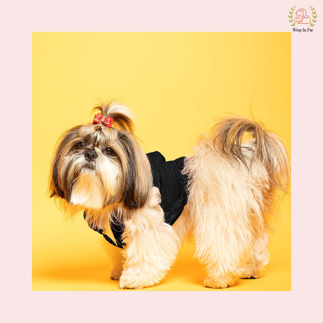 Luxury Black Velvet Dog Tuxedo Vest - Formal Wedding Suit