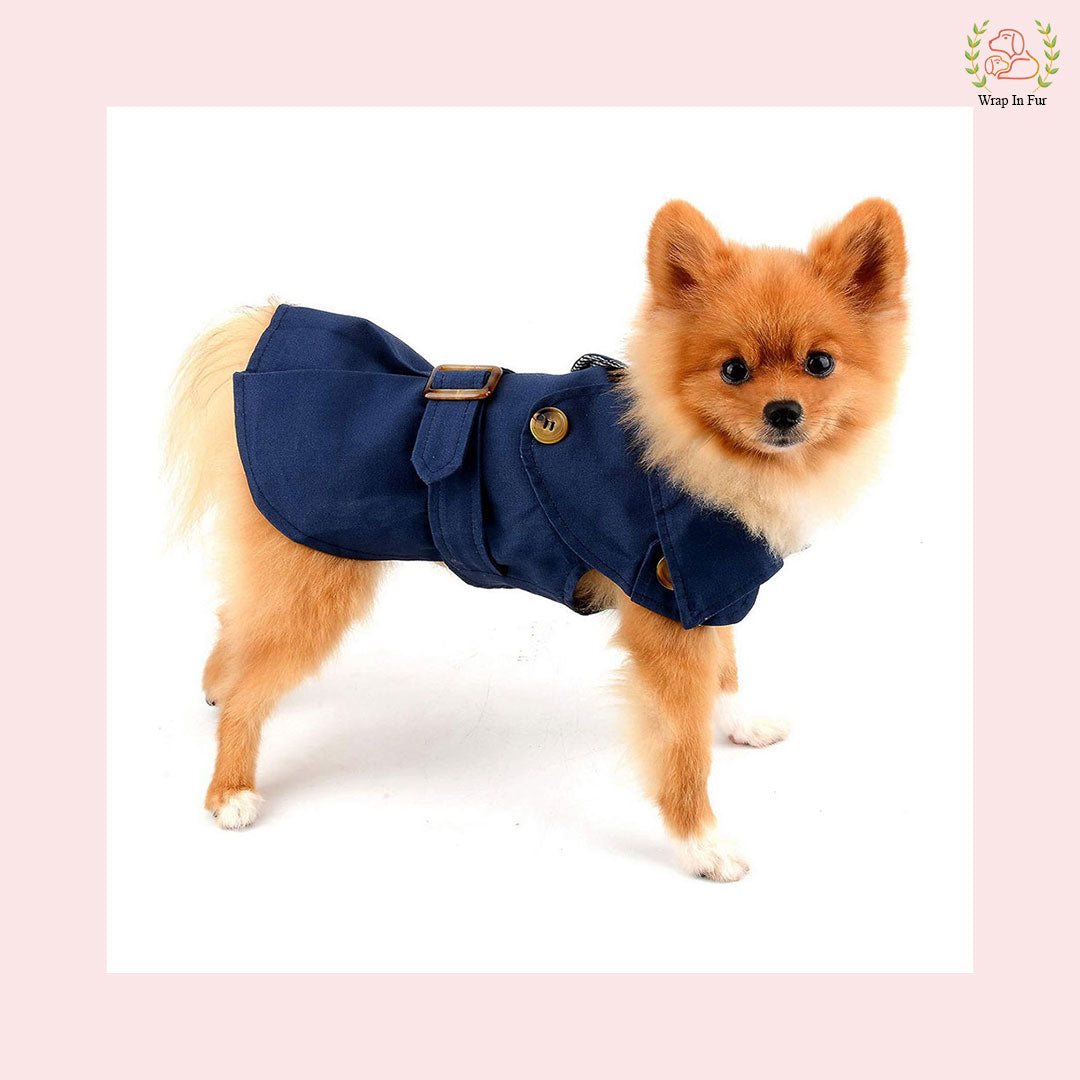 Luxury Blue Dog Winter Coat – Warm, Stylish & Premium Fit