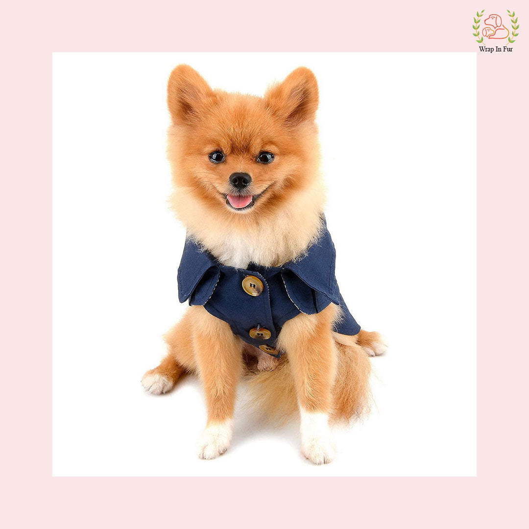 Luxury Blue Dog Winter Coat – Warm, Stylish & Premium Fit