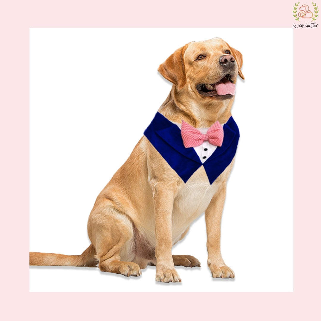 Luxury Blue Velvet Tuxedo Style Dog Bandana - Wedding Accessory