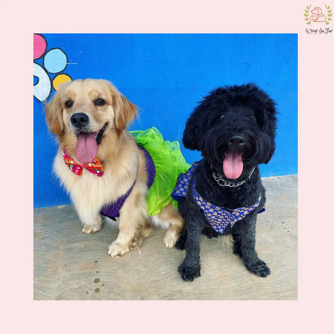 Luxury Dog Bridal Dress: Layered Neon Tulle and Brocade Party Gown