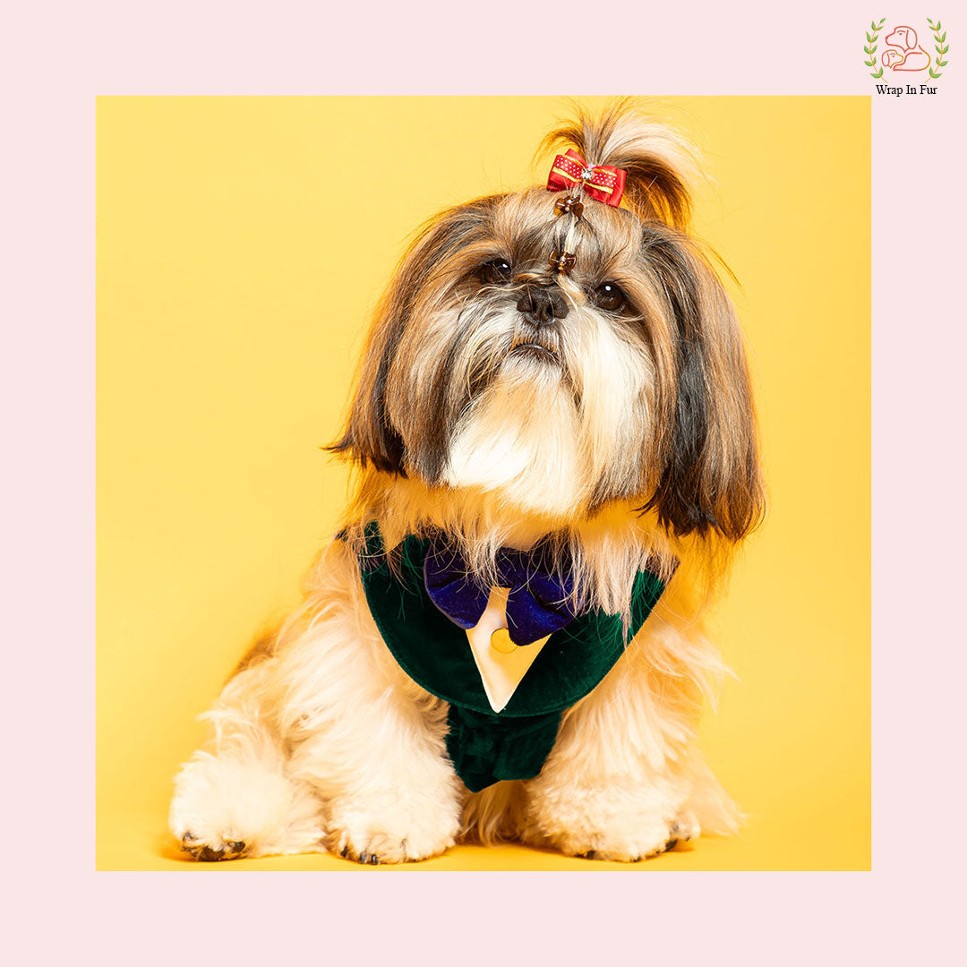 Luxury Emerald Green Velvet Dog Tuxedo Vest - Formal Wedding Suit