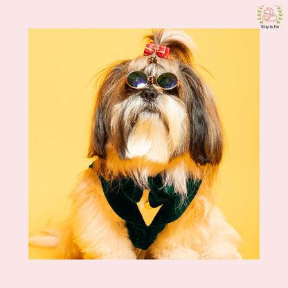 Luxury Emerald Green Velvet Dog Tuxedo Vest - Formal Wedding Suit