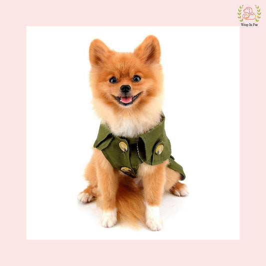 Luxury Green Dog Winter Coat – Warm, Stylish & Premium Fit