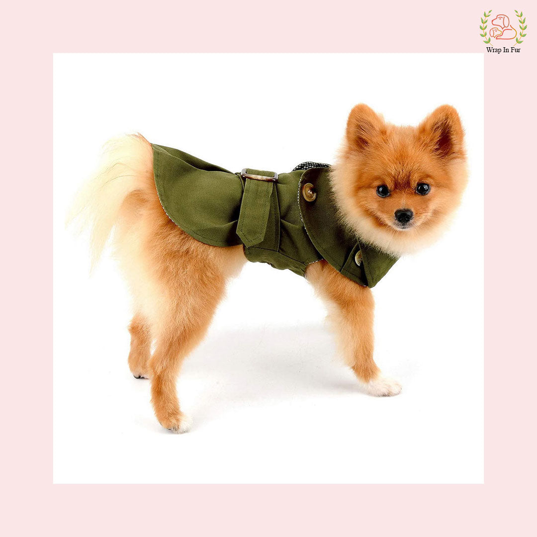 Luxury Green Dog Winter Coat – Warm, Stylish & Premium Fit