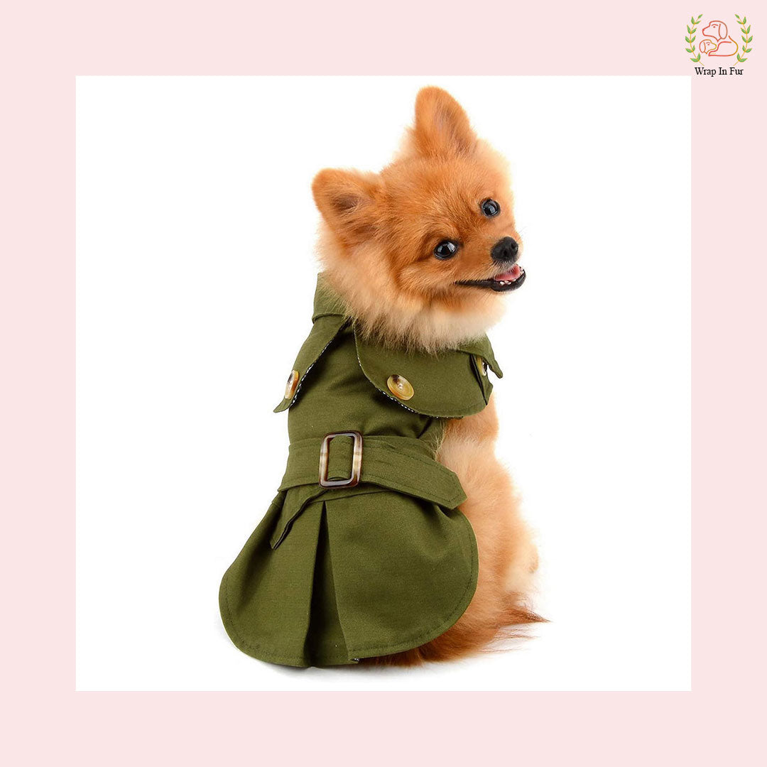 Luxury Green Dog Winter Coat – Warm, Stylish & Premium Fit